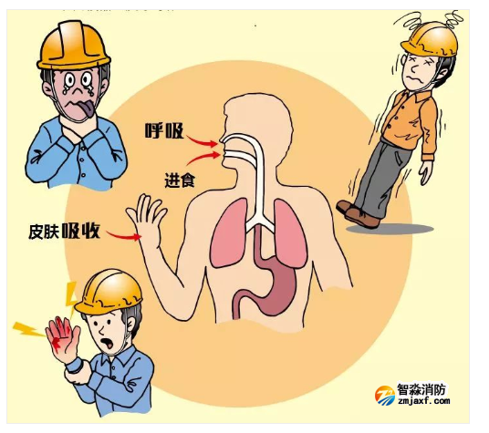 1652497272973384.png image.png