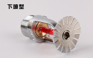 1737359926165209.png image.png